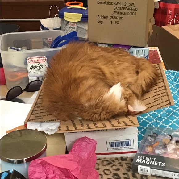 Meet your Posher, K - Picture 3 of 5